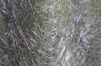 Sandhurst Cross fibreglass roof work